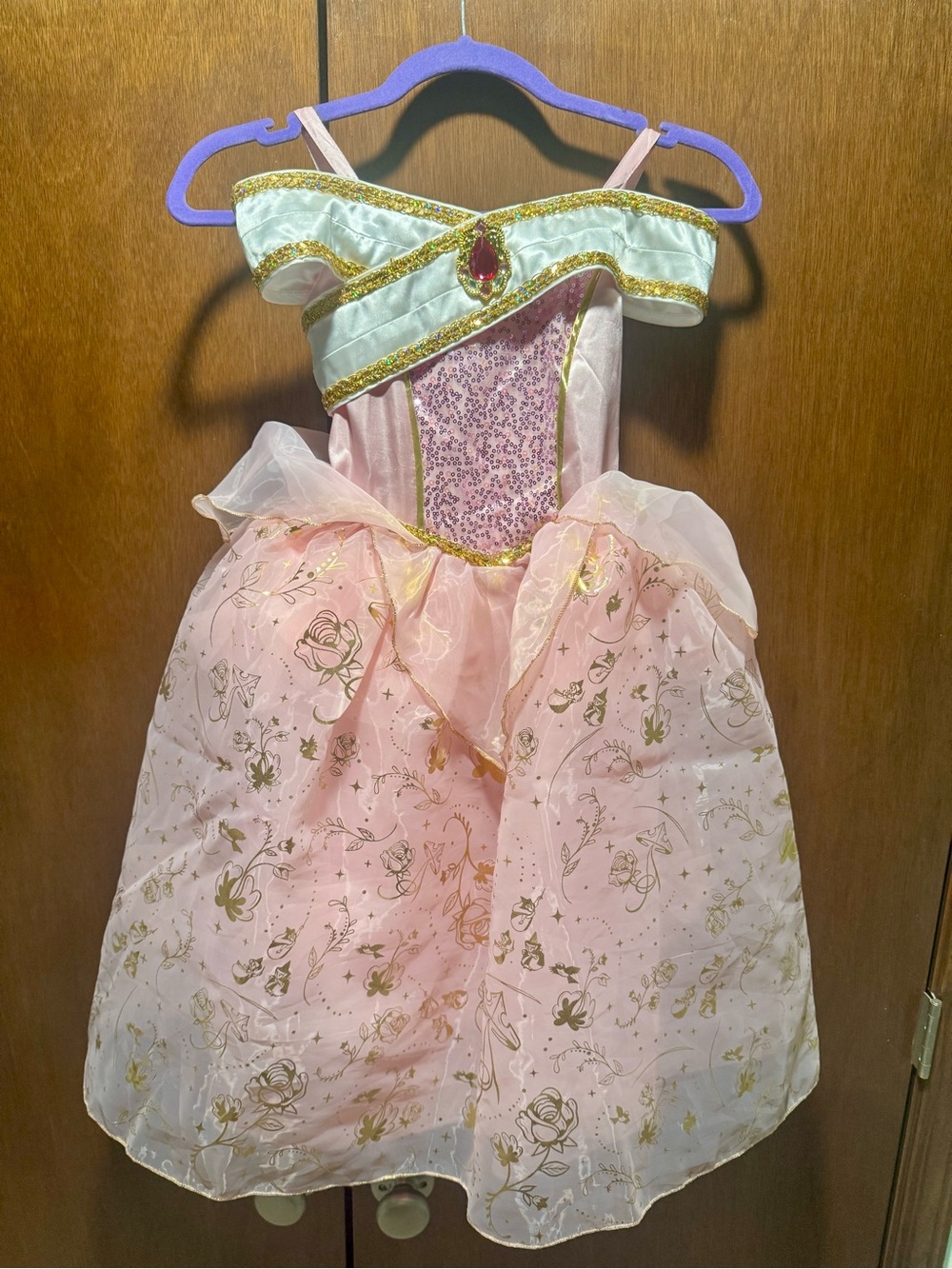 Disney Pink and Gold Princess Dress Costume